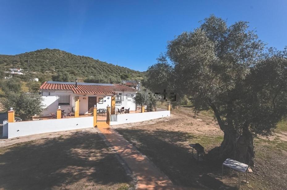 Casa Rural Los Naranjo Villa Jerez De Los Caballeros Exterior photo